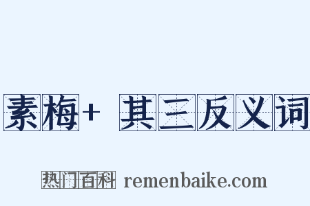 素梅+其三反义词是什么意思的图片